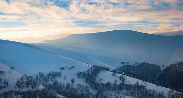 Belas Montanhas Dos Cárpatos Cobertas Florestas Verdes Neve Branca Estão — Fotografia de Stock