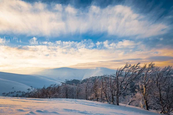 霧深い空を背景にした晴れた冬の夜のスキー場の美しい景色 きれいなヨーロッパのスキーリゾートでのリラクゼーションの概念 — ストック写真