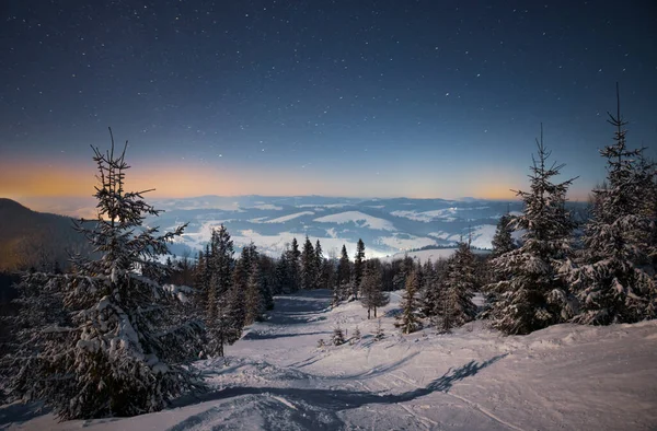 Prachtige Prachtige Natuur Sterrenhemel Met Besneeuwde Dennenbomen Prachtige Winterse Berghellingen — Stockfoto