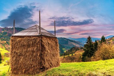 Yeşil bir çayırda yağmurdan alınan bir filmle kaplı büyük bir saman yığını. Hava bulutlu değil.
