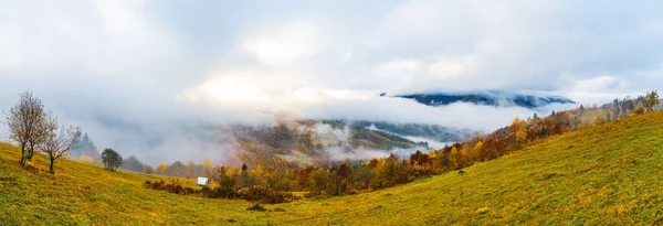 Colorful Dense Forests Warm Green Mountains Carpathians Covered Thick Gray — Stock Photo, Image