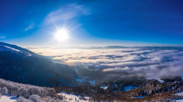 太陽と青空が広がる晴れた日には 雪とモミの木で覆われた山の丘の美しい冬のパノラマ 自然の美をテーマにしている コピースペース — ストック写真