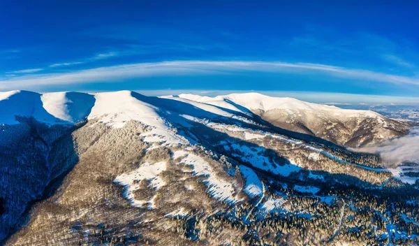 Vista Aérea Belas Encostas Montanha Inverno Cobertas Neve Floresta Abetos — Fotografia de Stock