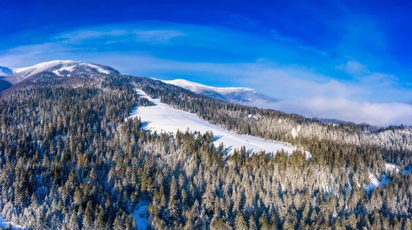 Underbara Landskap Karpaterna Täckt Med Snö Och Klarblå Himmel Ukraina — Stockfoto