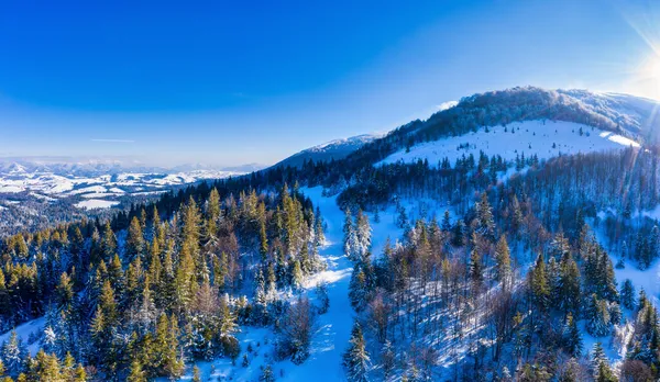 乌克兰Pylypets村附近美丽的喀尔巴阡山脉风景 覆盖着白雪和蔚蓝的天空 — 图库照片
