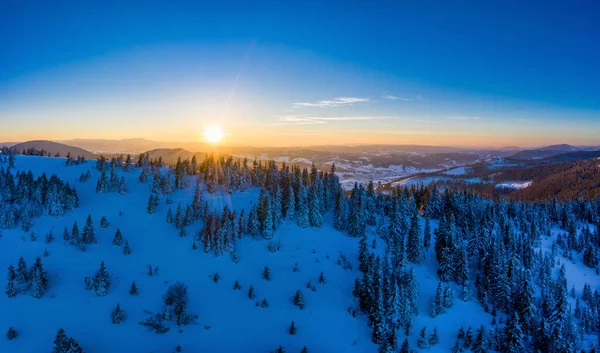 在阳光明媚的冬天 蓝天下 在雪山上生长着一座座细长的参天大树 这迷人的风景秀丽的景色在空中尽收眼底 广告空间 — 图库照片