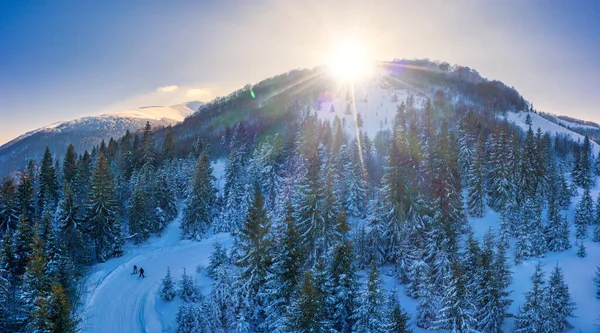 Picturesque Winter Panorama Mountain Hills Covered Snow Fir Trees Sunny — Stock Photo, Image