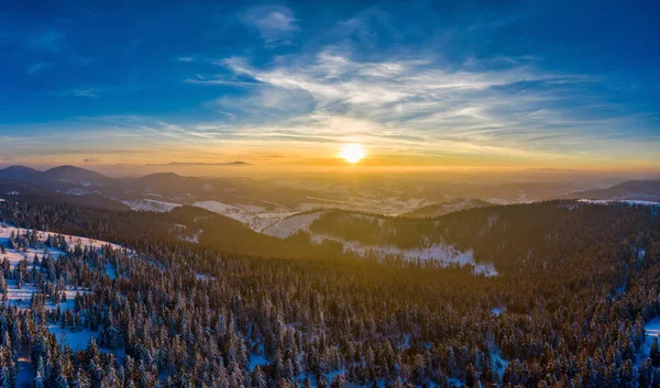 Güneşli Bir Günde Kar Köknar Ağaçlarıyla Kaplı Dağ Tepelerinin Manzarası — Stok fotoğraf