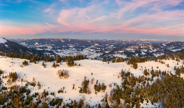 Panorama Inverno Pitoresco Colinas Montanha Cobertas Neve Abetos Dia Claro — Fotografia de Stock