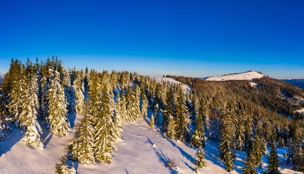 Magisch Winterpanorama Van Prachtige Besneeuwde Pisten Een Skigebied Europa Een — Stockfoto