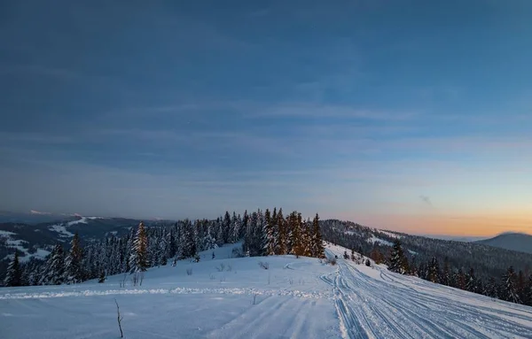 Faszinierende nächtliche Landschaft Winter schneebedeckte Tannen — Stockfoto