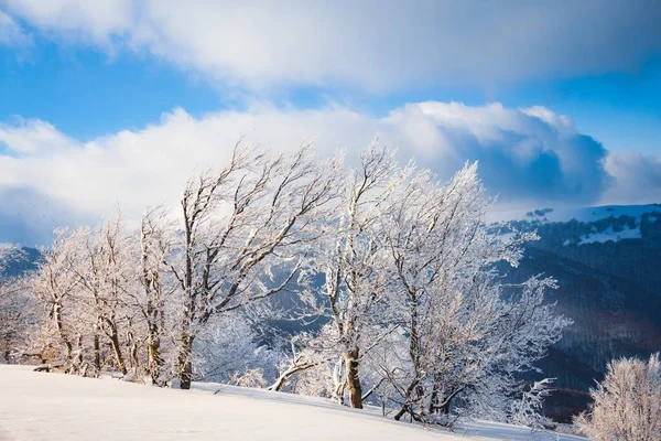 Nuvens fofas se abrigam sob neve branca abrigada por florestas e belas montanhas — Fotografia de Stock