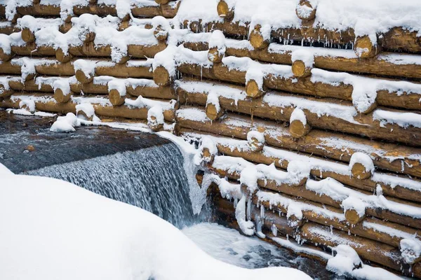 A wall of logs encloses a small stream in the forest near bare trees — Stock Photo, Image