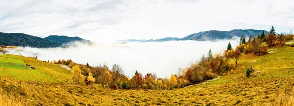 Barevné lesy v teplých Karpatských horách pokryté hustou šedou mlhou — Stock fotografie