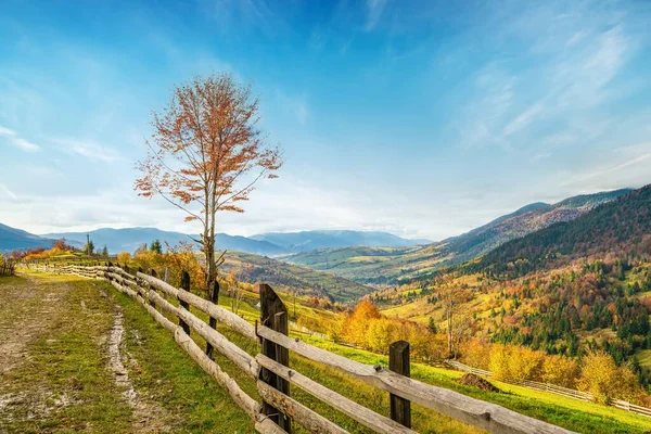 Village under the hills sheltered by autumn forests in the light of the bright sun in good weather — Stock Photo, Image