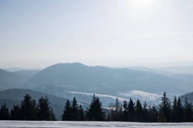 Güneşli bir kış gününde, karlı bir yamaçta bulunan büyüleyici güneşli bir kış ormanı. Bir kayak merkezinde tatilin sonu.