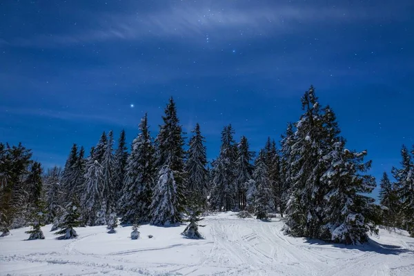 Fabulous New Year Trail Bright Star Starry Night Sky Wonderful — Stock Photo, Image