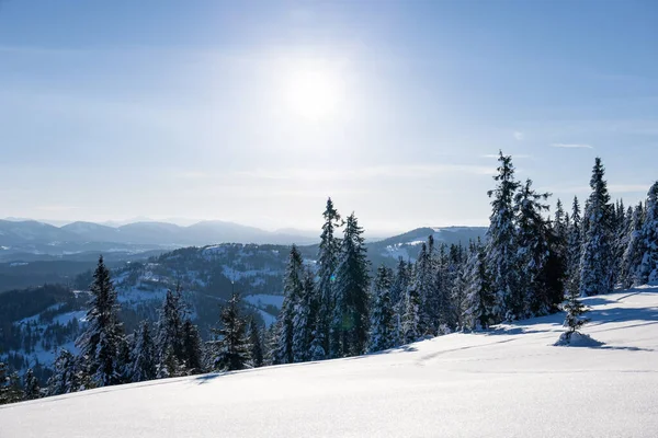 在一个阳光灿烂 寒冷的冬日里 位于雪坡上的冬季森林迷人的阳光灿烂的景色 在滑雪胜地度假的结束 — 图库照片