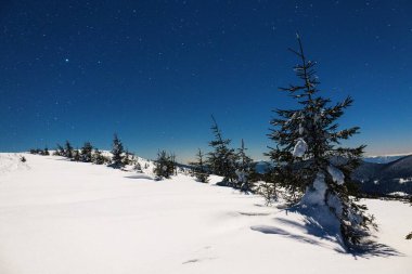 Göz kamaştırıcı doğa, karlı köknar ağaçları ve güzel kış dağları olan yıldızlı gökyüzü. Saf kuzey doğası ve karlı güzellik kavramı.