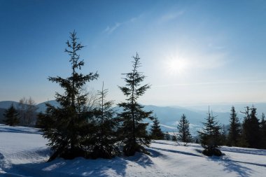 Güneşli bir kış gününde, karlı bir yamaçta bulunan büyüleyici güneşli bir kış ormanı. Bir kayak merkezinde tatilin sonu.