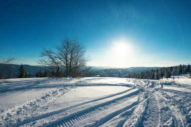 Kayak yamacının büyüleyici manzarası karlı tepe kozalaklı orman ve güneşli dağ sıraları açık ve soğuk bir günde. Kayak merkezinde rahatlama kavramı. Metin için yer