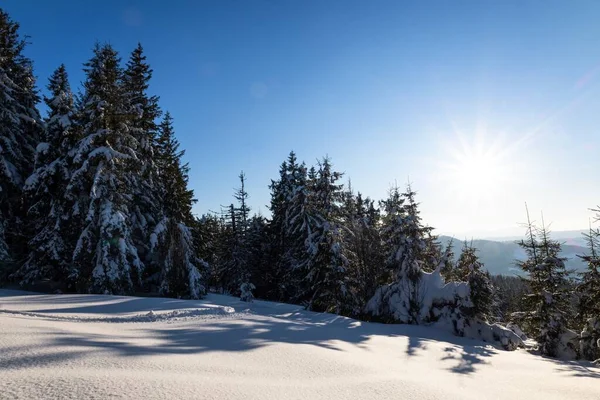 Приголомшливе Красиве Зоряне Небо Засніженими Ялиновими Деревами Красивими Зимовими Гірськими — стокове фото