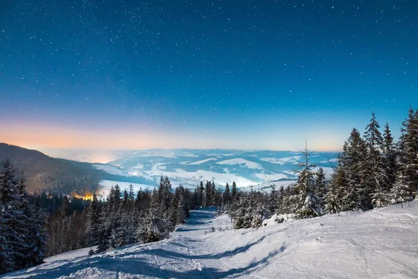 Oszałamiająca Piękna Przyroda Gwiaździste Niebo Śnieżnymi Jodłami Pięknymi Zimowymi Zboczami — Zdjęcie stockowe
