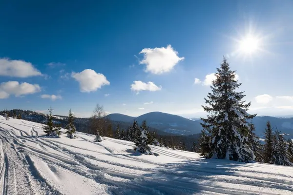 Forhekset Utsikt Skibakken Med Vakker Utsikt Den Snødekte Barskog Solrike – stockfoto