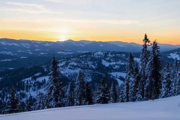 Güneşli bir kış gününde, karlı bir yamaçta bulunan büyüleyici güneşli bir kış ormanı. Bir kayak merkezinde tatilin sonu.