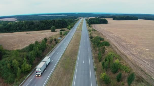 Samochody poruszają się po jednym pasie długiej drogi rozciągającej się między drzewami — Wideo stockowe