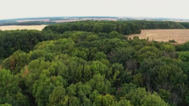 Шосе з вантажівкою серед лісів та полів у сільській місцевості — стокове відео