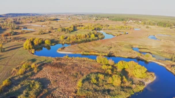 Paysage automnal d'arbres colorés luxuriants poussant le long de la rivière — Video