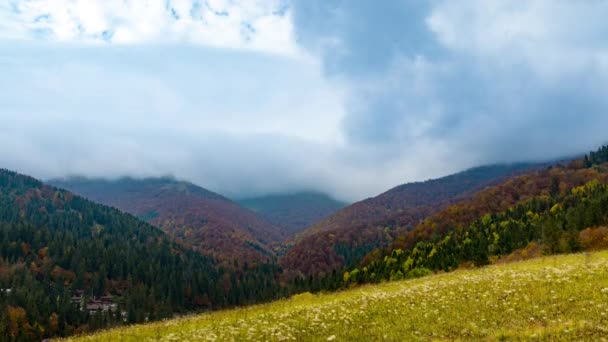 Highland avec collines forestières et prairie sous de lourds nuages — Video