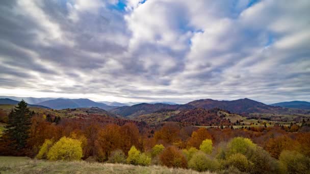 Coloridos árboles de otoño crecen en las tierras altas contra grandes montañas — Vídeos de Stock