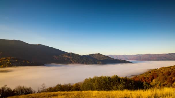 Silná ranní mlha zaplňuje horské údolí mezi horami — Stock video