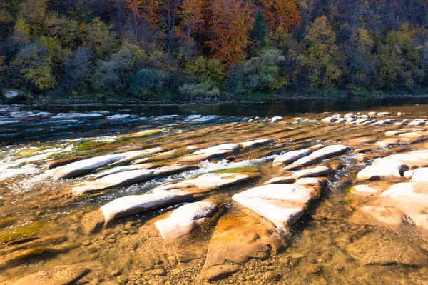 Shallow Mountain River Rapids Evergreen Autumn Terracotta Forests Steep Banks — Fotografia de Stock