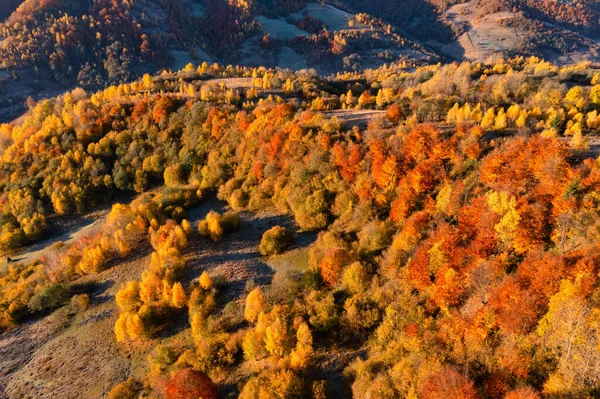 Mountain Ridge Covered Terracotta Forests Vivid Yellowed Trees Grey Cloudy — Stock Photo, Image