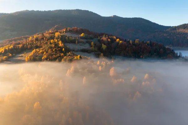 Товстий Шар Туману Покриває Високі Гори Теракотою Зеленими Деревами Ростуть — стокове фото
