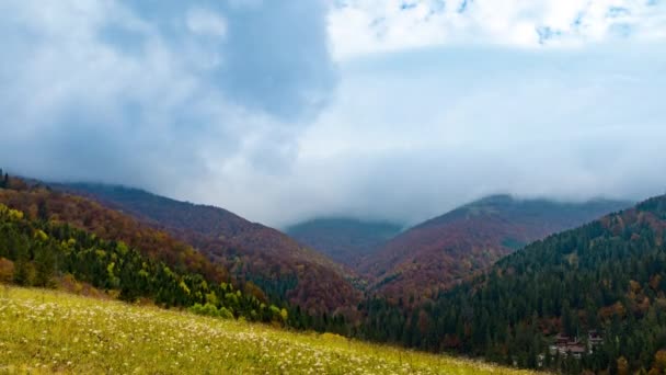 Highland avec collines forestières et prairie sous de lourds nuages — Video
