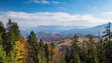 Dağlık vadi ve dağlara karşı kozalaklı ağaçlar.