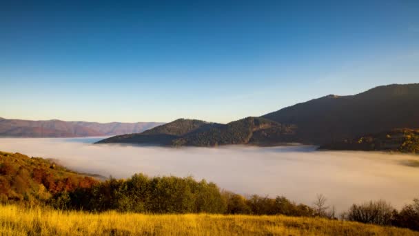 Dichter Morgennebel erfüllt tiefes Hochland-Tal zwischen Bergen — Stockvideo