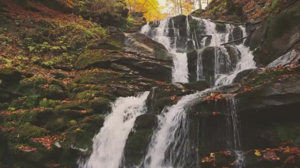 Waterval valt van berghelling in herfstbos — Stockvideo