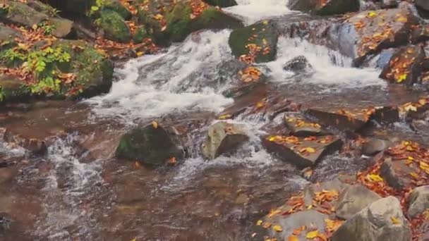 Cachoeira descendo encosta da montanha na floresta de outono — Vídeo de Stock