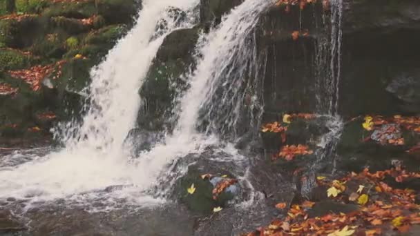 Vízesés leesik a hegyoldalról őszi erdőben — Stock videók