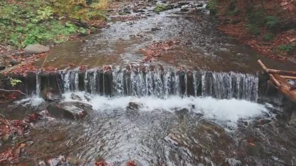 Río de montaña con hojas de otoño — Vídeos de Stock