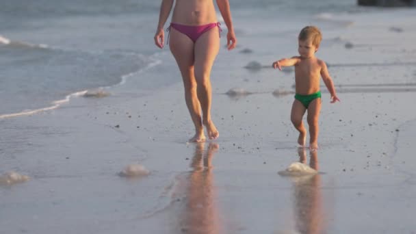 Mom worries about her son and tells him about poisonous jellyfish walking along the beach strewn with jellyfish — Stock Video