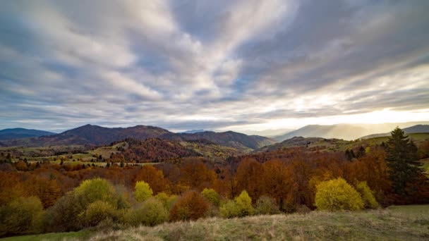 Arbres d'automne colorés poussent dans les hautes terres contre les grandes montagnes — Video