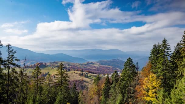 Cime des conifères contre la vallée des hautes terres et les montagnes — Video