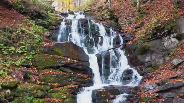 Fluxo estreito caindo na encosta da montanha na floresta de outono — Vídeo de Stock