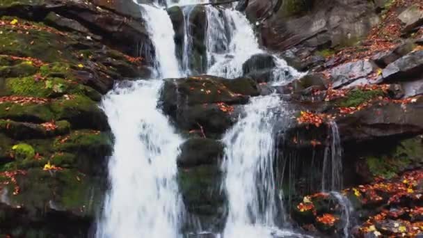 Smalle beek valt van de berghelling in het herfstbos — Stockvideo